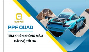 PPF QUAD