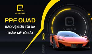 Phim PPF QUAD