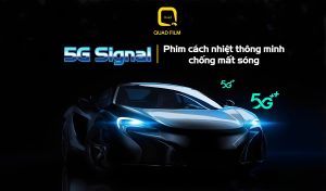 Phim cách nhiệt
