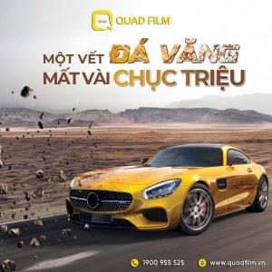 ppf tự phục hồi